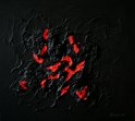fiorani3 (31)